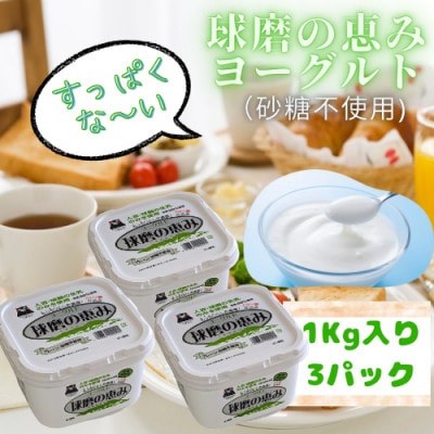 球磨の恵みヨーグルト(砂糖不使用タイプ)3パック【配送不可地域:離島】【1624574】