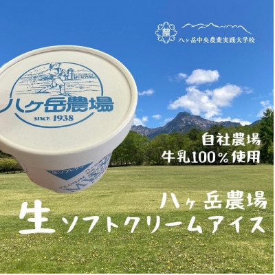 八ヶ岳農場 生ソフトクリームアイス 6個【配送不可地域:離島】【1586194】