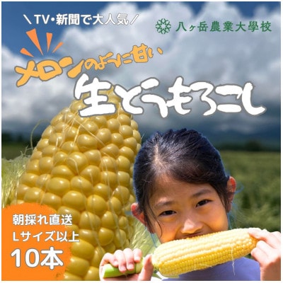 【2025年最終受付】メロンのように甘い 生とうもろこし 10本 「味来」「サニーショコラ」【配送不可地域:離島】【1643138】