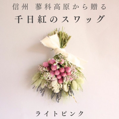 信州八ヶ岳の麓から贈る 千日紅のドライフラワースワッグM(ライトピンク)【1659599】
