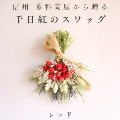 信州八ヶ岳の麓から贈る 千日紅のドライフラワースワッグM(レッド)【1659601】