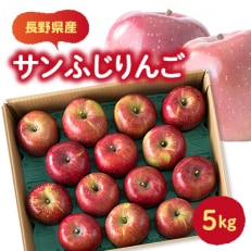 【贈答用】サンふじりんご　5kg【1457111】