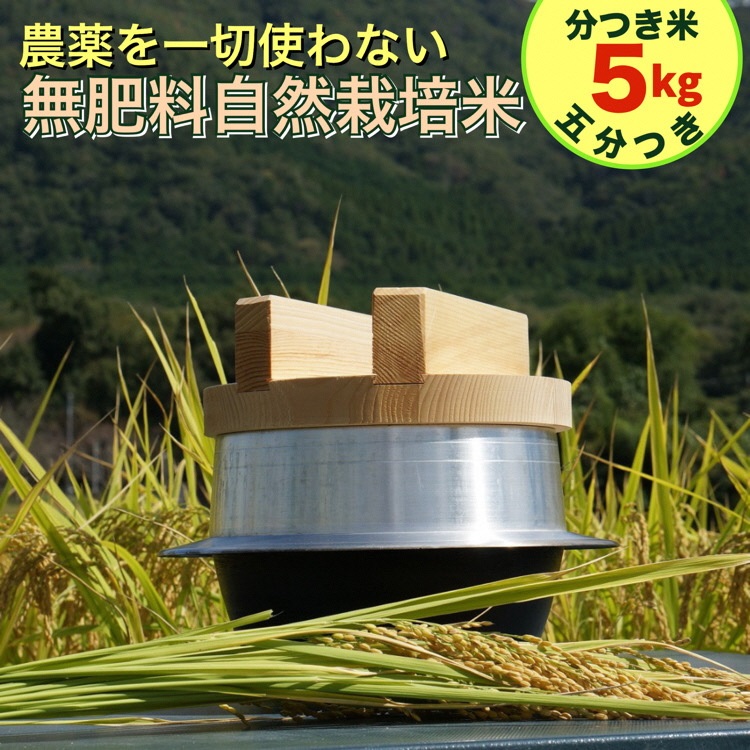 米 令和6年産[五分つき]自然栽培米 にこまる [農薬を一切使わない無肥料栽培] 分つき米5kg・精米したて [新米 京都丹波産 無農薬米栽培向き 厳選品種]