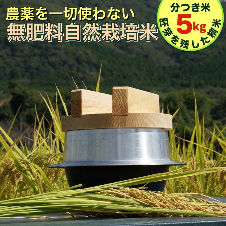 米 令和6年産[胚芽を残した精米]自然栽培米 にこまる [農薬を一切使わない無肥料栽培] 分つき米5kg・精米したて [新米 京都丹波産 無農薬米栽培向き 厳選品種]