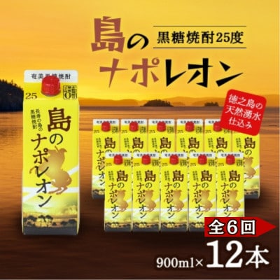 【毎月定期便】奄美黒糖焼酎 島のナポレオン 900ml 紙パック 12本セット全6回【4074149】
