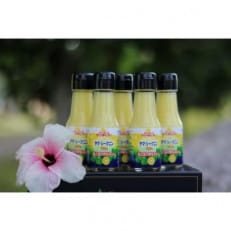 ヤマ・シークニン果汁70ml×5本セット【1407427】