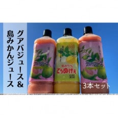 グァバ＆島みかんジュース　3本セット【配送不可地域：離島】【1407859】