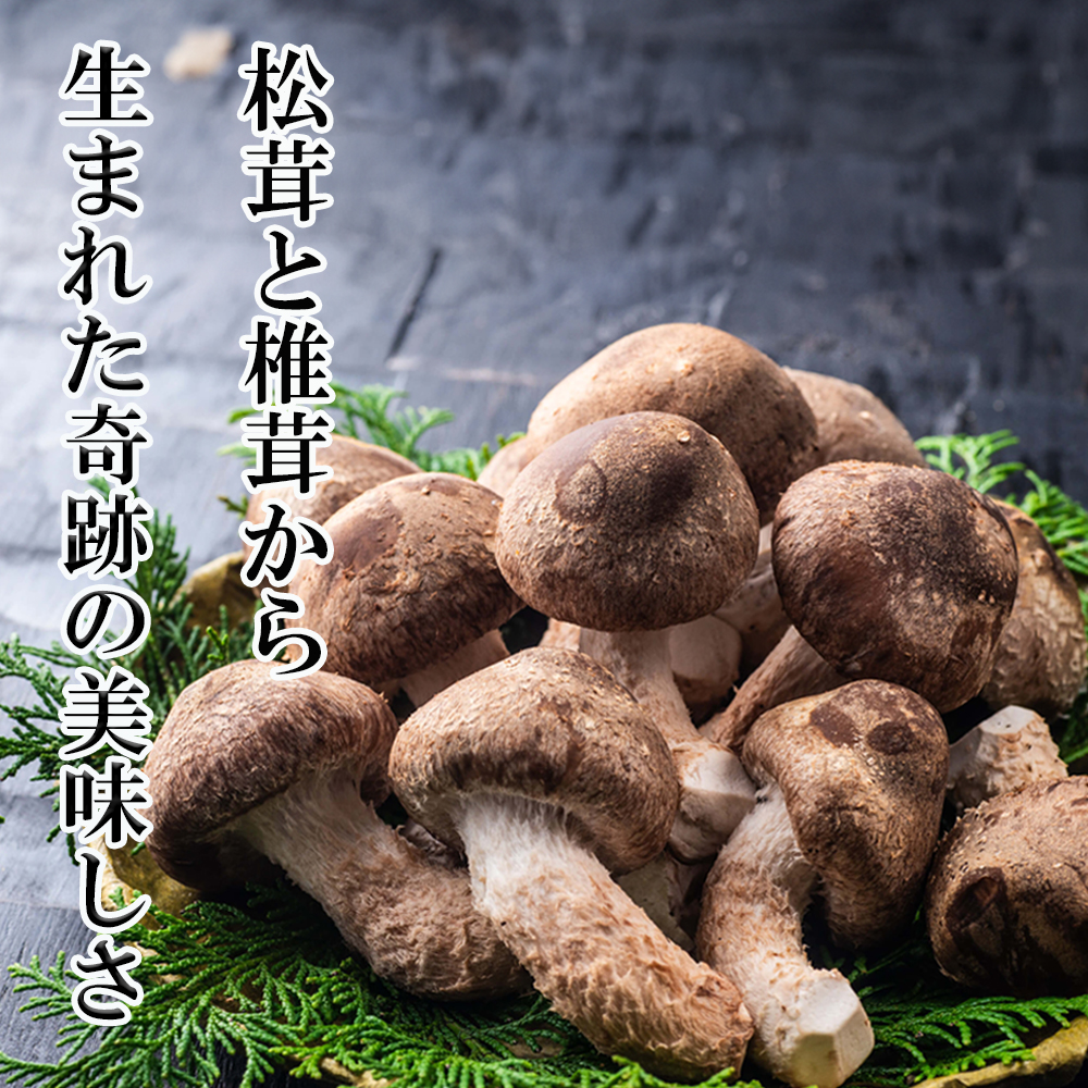 松太郎ギフト(生詰め合わせ)【夏季冷蔵便対応】