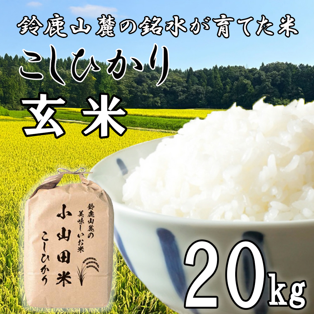 [令和7年度先行予約]こしひかり (玄米)20kg 鈴鹿山麓の銘水が育てた米、米どころ三重県産小山田地区「こしひかり(玄米)」20kg