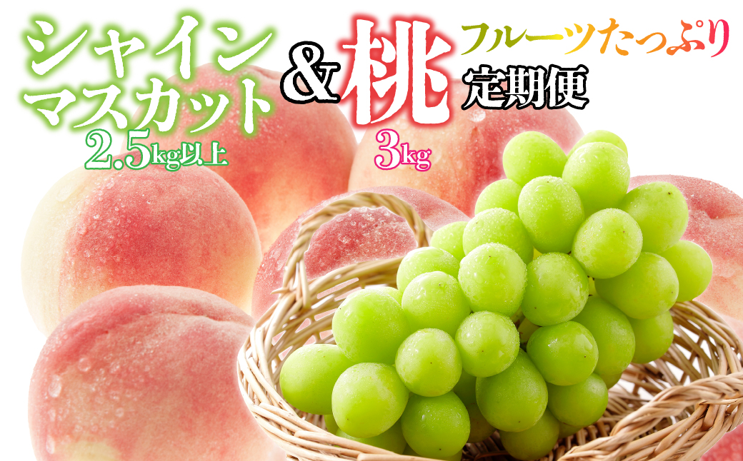 【フルーツたっぷり定期便】桃 約3kg(7~12玉)×シャインマスカット2.5g以上(3~6房) 126-026