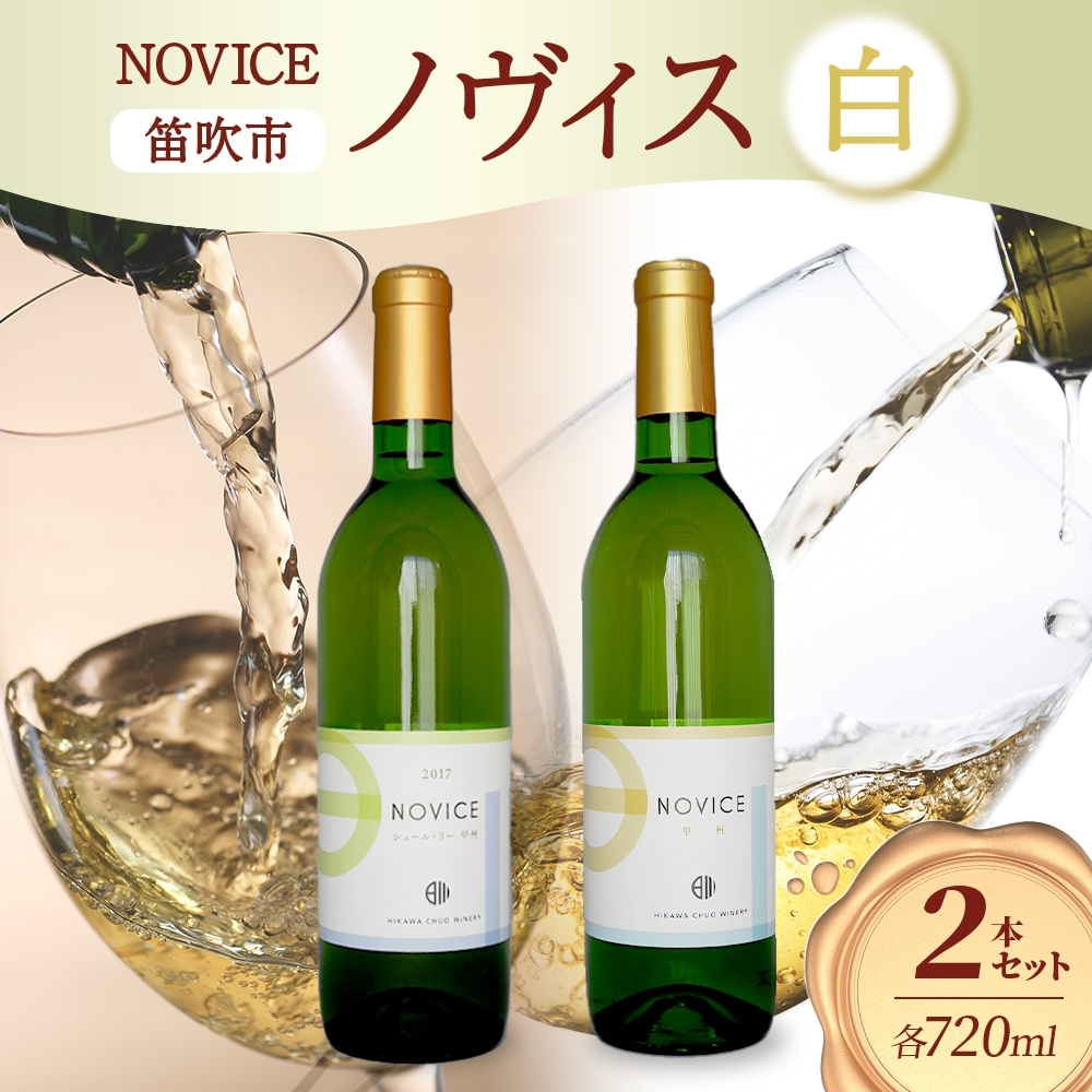 白ワイン NOVICE ノヴィス 白 2種 セット シュール・リー 甲州＆甲州 720ml 各1本 計2本 フルボトル 日川中央葡萄酒 山梨県 笛吹市 177-7-21