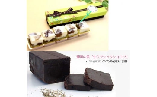 シャインマスカットレーズンショコラ＆生クラシックショコラ 019-001