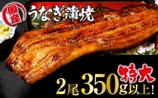 山梨県産富士山脈の地下水うなぎの蒲焼 特大2尾350g以上 138-003