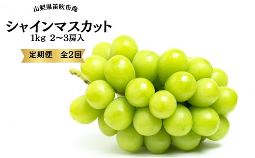 <2025年発送先行予約>葡萄の一大産地!笛吹市産シャインマスカット定期便×2回 167-015 ※沖縄・離島配送不可