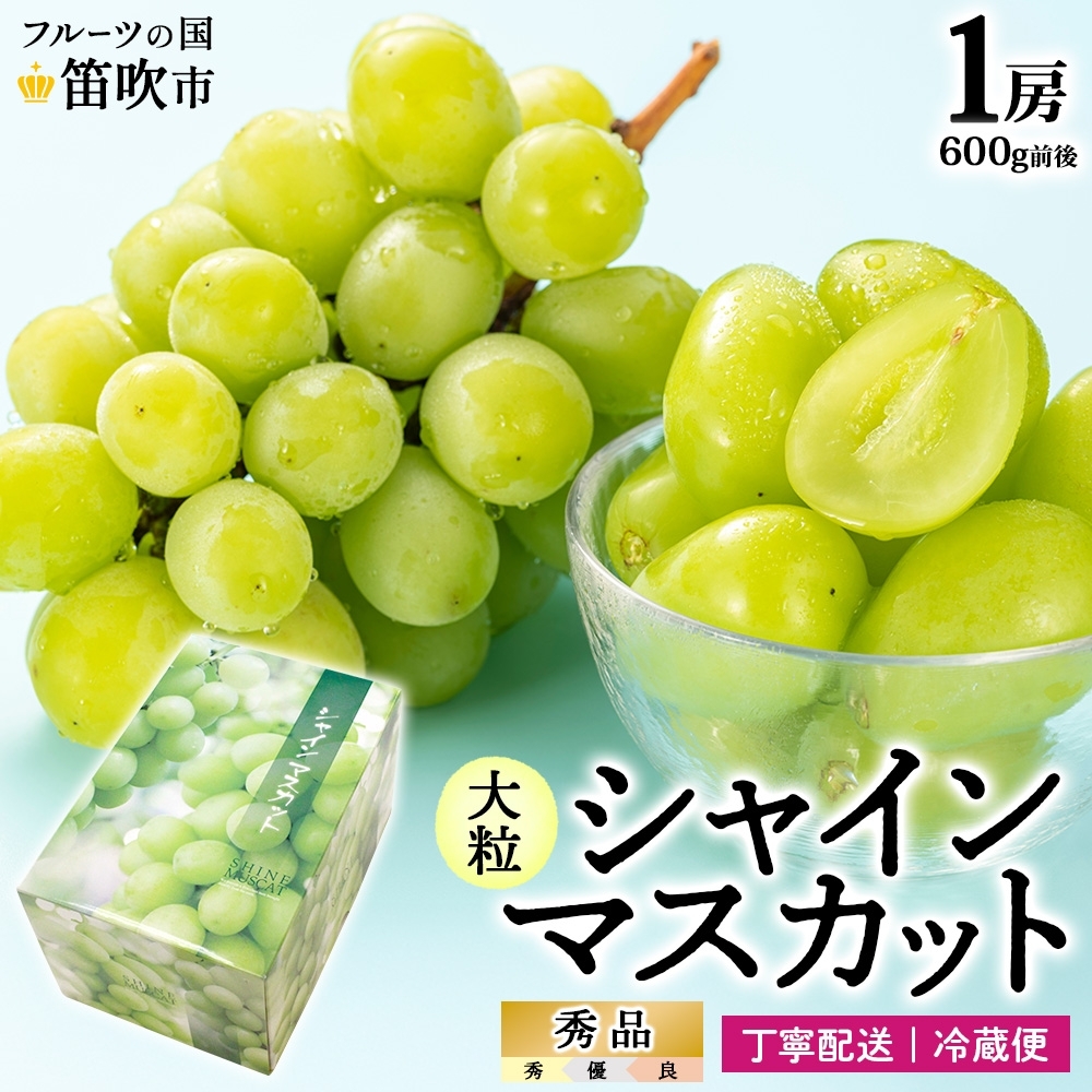 <25年発送先行予約>シャインマスカット 1房 600g前後 クール便配送 177-008
