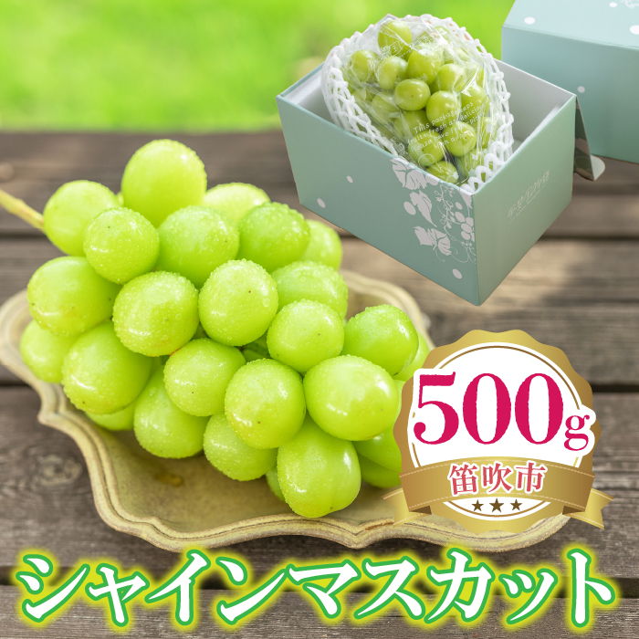 <25年発送先行予約>シャインマスカット 500g 222-008-4