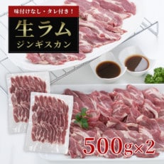 厚切り生ラムジンギスカン 1kg(500g×2)・ジンギスカンのたれ 160gセット_01186【配送不可地域:離島】【1156958】