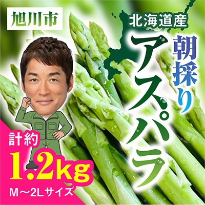 朝採りアスパラ(M～2Lサイズ)　約1.2kg_01705【配送不可地域：離島】【1155715】