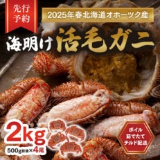 [先行予約]北海道オホーツク産海明け活毛ガニボイル(チルド冷蔵配送)500g前後×4_03502[配送不可地域:離島]
