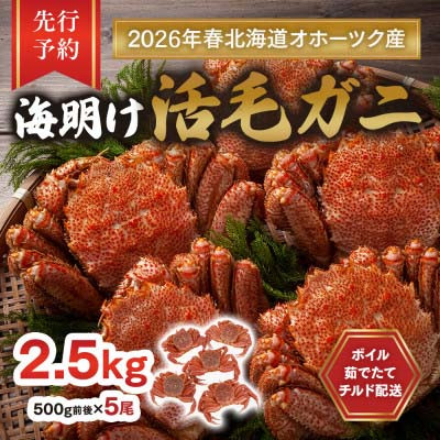 【先行予約】北海道オホーツク産海明け活毛ガニボイル(チルド 冷蔵配送)500g前後×5_03503【配送不可地域：離島】【1582357】