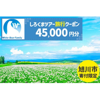 【旭川市】しろくまツアーで利用可能なWEB旅行クーポン (45,000円分)_05219【1660756】