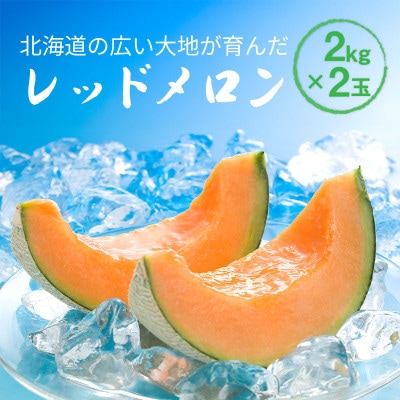 【先行受付】2026年産 北海道赤肉メロン (約2kg×2玉)_04541【1668982】