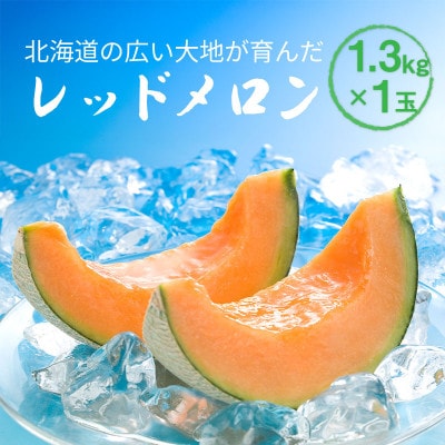 【先行受付】2026年産 北海道赤肉メロン (約1.3kg×1玉)_05408【1672616】