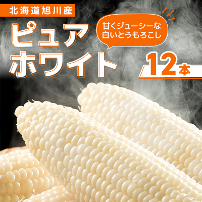 【先行受付】2026年　甘くジューシーな白いとうもろこし12本(ピュアホワイト)_00407【配送不可地域：離島・沖縄】【1154953】