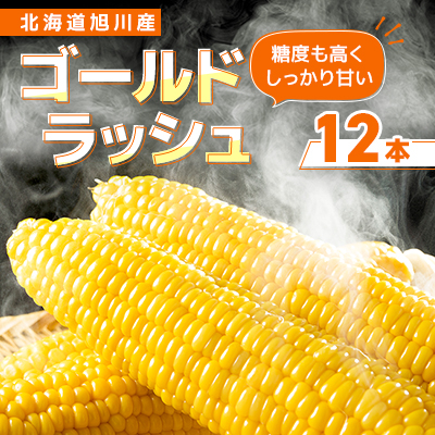 【先行受付】2026年　鮮やかな黄金色で大粒果肉　ゴールドラッシュ12本_00408【配送不可地域：離島・沖縄】【1154954】