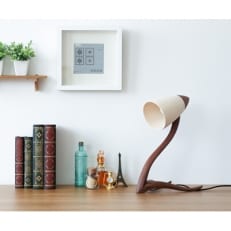 旭川クラフト 工房 灯のたね デスクライト_00699【1155095】