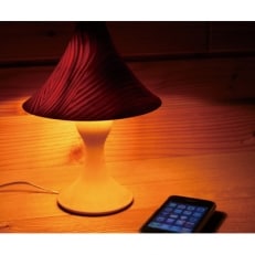 旭川クラフト 工房 灯のたね Shelly(シェリー) スタンドタイプ S_00704【1155100】