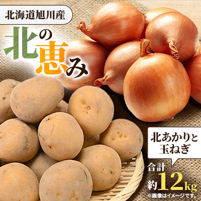 先行受付　北の恵み　北あかりと玉ねぎ　合計約12kg_02066【1155789】
