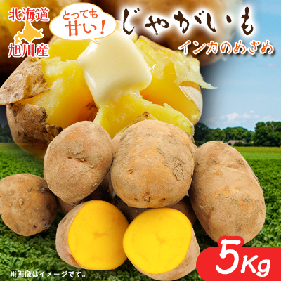 北海道旭川産 じゃがいも(インカのめざめ) 5kg_01016【配送不可地域:離島】【1157294】