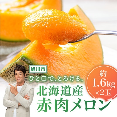 北海道産赤肉メロン約1.6kg×2玉_02061【配送不可地域：離島】【1451336】