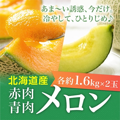 先行受付　北海道産赤肉・北海道産青肉メロン2玉セット(約1.6kg×2玉)_02062【配送不可地域：離島】【1455285】