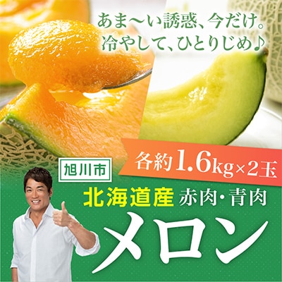 先行受付　北海道産赤肉・北海道産青肉メロン2玉セット(約1.6kg×2玉)_02062【配送不可地域：離島】【1455285】