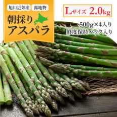 アスパラ2kg500g×4　Lサイズ　旭川近郊産_01591【配送不可地域：離島】【1157033】