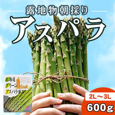 旭川近郊産露地物アスパラ　600g　2L～3L_03816【配送不可地域：離島】【1508481】
