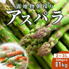 旭川近郊産露地物アスパラ　1kg　2L～3L_03817【配送不可地域：離島】【1508482】