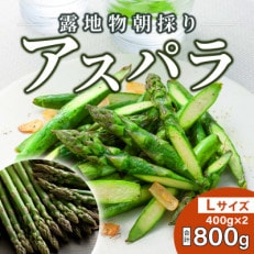 旭川近郊産グリーンアスパラ　800g　Lサイズ_03818【配送不可地域：離島】【1508483】