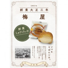 復刻創業しゅうくりぃむ【創業シュー】28個入り_04269【配送不可地域：離島】【1541278】