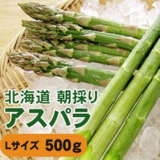 旭川近郊産グリーンアスパラ　500g　Lサイズ_04750【配送不可地域：離島】【1568872】