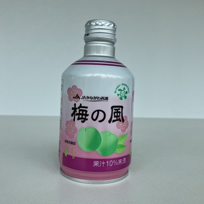 梅の風(清涼飲料水)290g×24本入り【1664297】