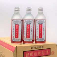 箱根山麓紅茶リシール缶490g×24本入【1269292】