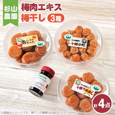 杉山農園 G 梅肉エキスと梅干しのセット【1561035】