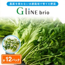 【毎月定期便】G Line brio レタス12パックセット全2回【配送不可地域:離島】【4056842】