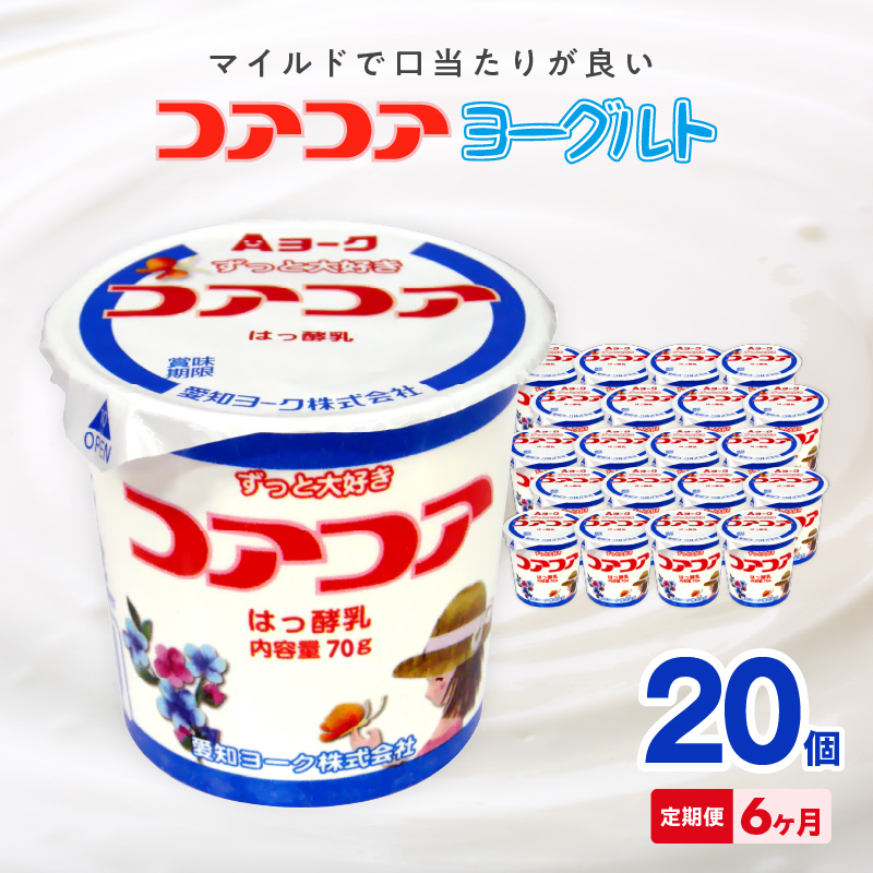【6ヶ月定期便】愛知ヨーク　コアコアヨーグルト　20個入［108A02-T］