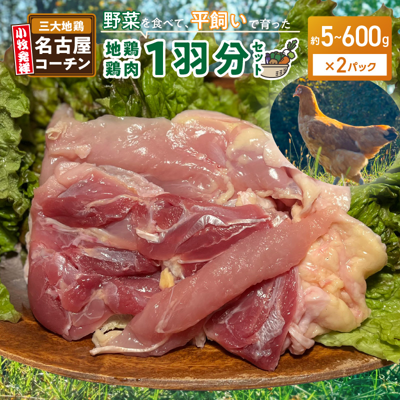 『スマイルファーム桃花台』名古屋コーチン肉 １羽分セット［154T04］