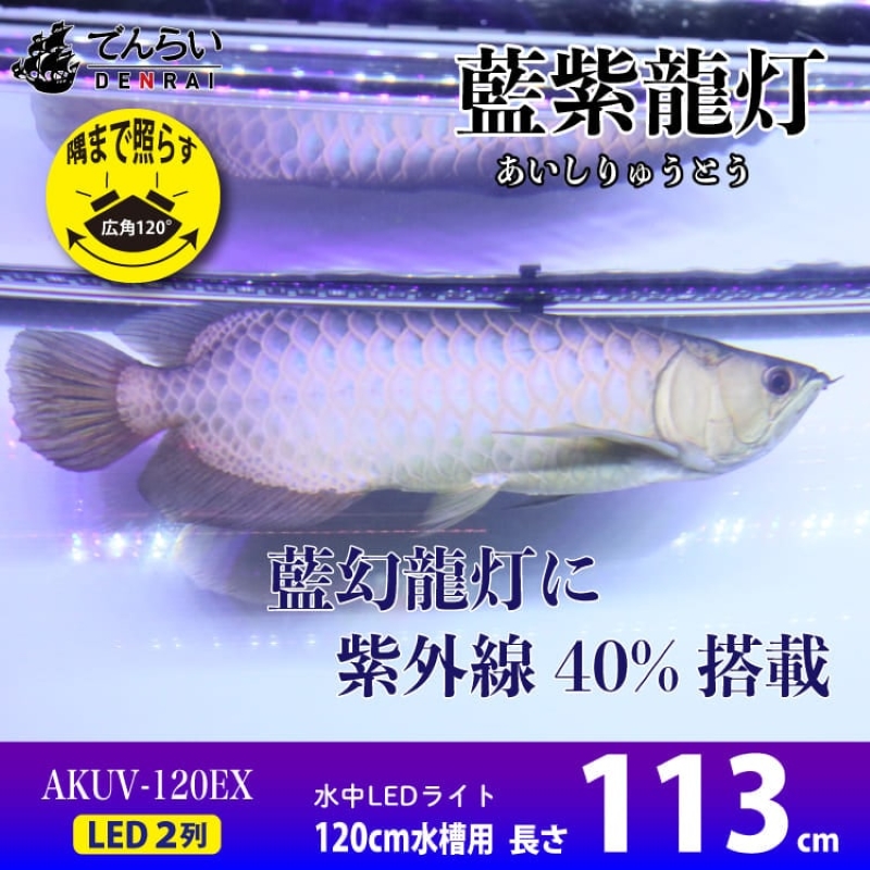 スリム&高耐久!金龍を美しく、UV-Aチップ配合の水中LED|AK-120UV-EX[172C15]