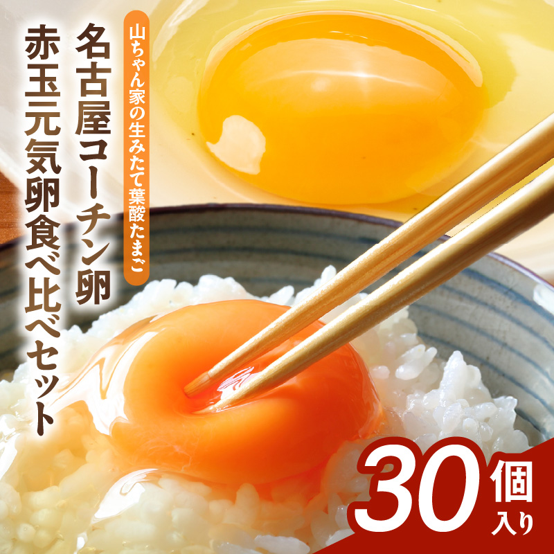 [山ちゃん家の生みたて葉酸たまご]名古屋コーチン卵・赤玉元気卵 食べ比べセット(各15個 合計30個入り)[132Y09]
